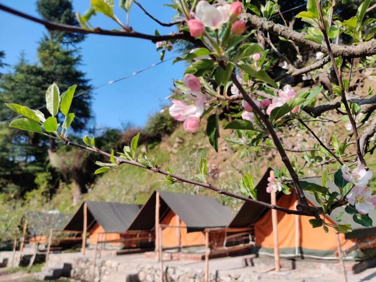 Himtrek Riverside Camps & Hostel Manali المظهر الخارجي الصورة
