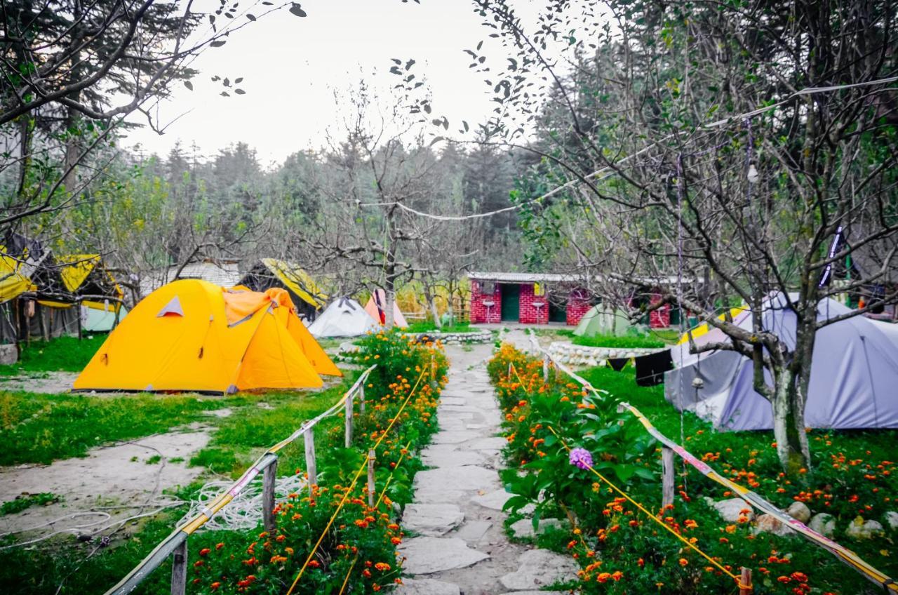 Himtrek Riverside Camps & Hostel Manali المظهر الخارجي الصورة