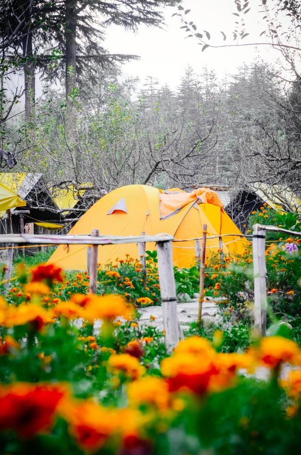 Himtrek Riverside Camps & Hostel Manali المظهر الخارجي الصورة