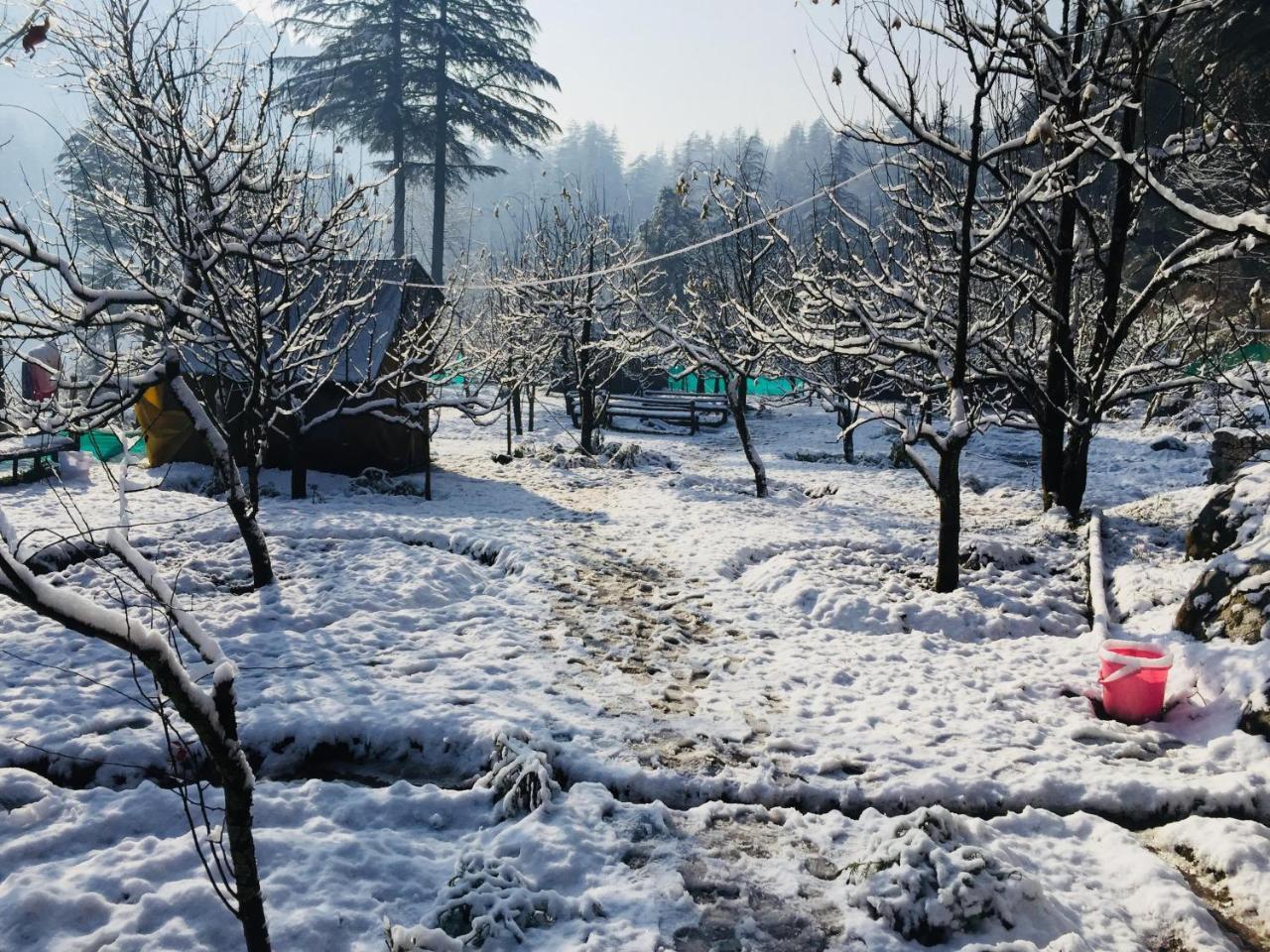 Himtrek Riverside Camps & Hostel Manali المظهر الخارجي الصورة