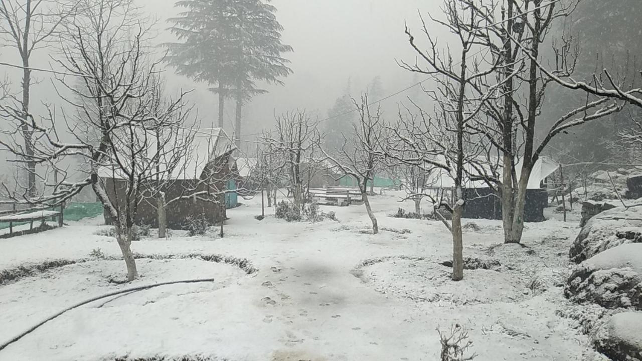 Himtrek Riverside Camps & Hostel Manali المظهر الخارجي الصورة
